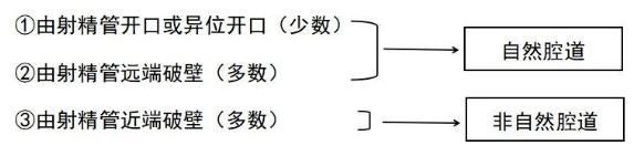1589774571551248.png image.png