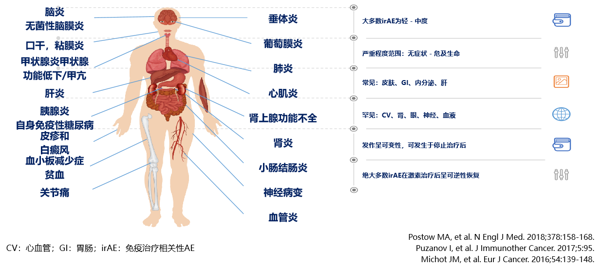 1595991359227901.png image.png