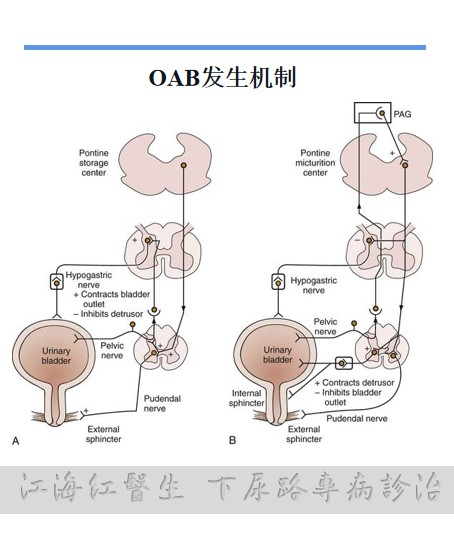 1601429850307980.png image.png