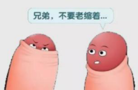 1605597856386203.png image.png