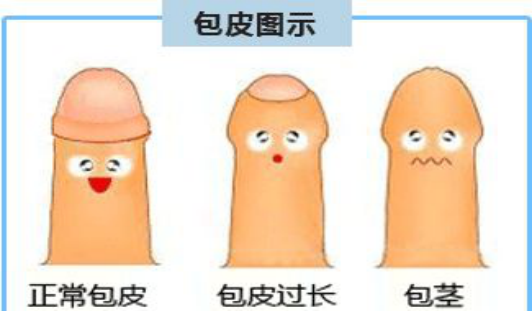 1605597879365626.png image.png