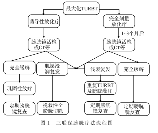 1606180148460420.png image.png