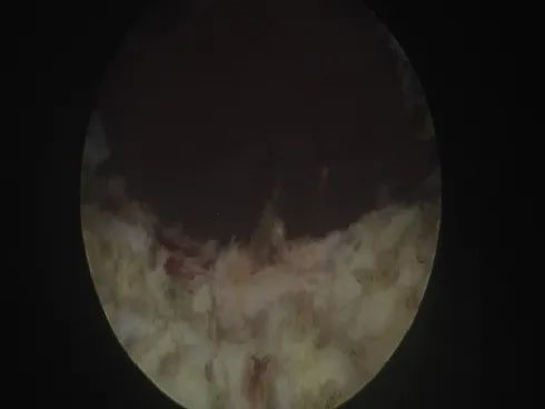 1607392672743641.png image.png