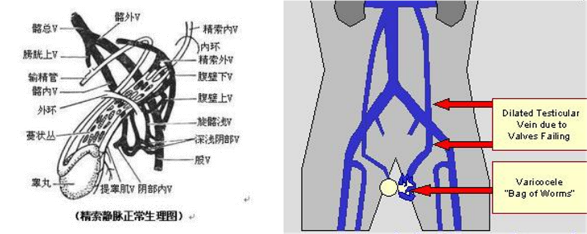 1608081362136838.png image.png
