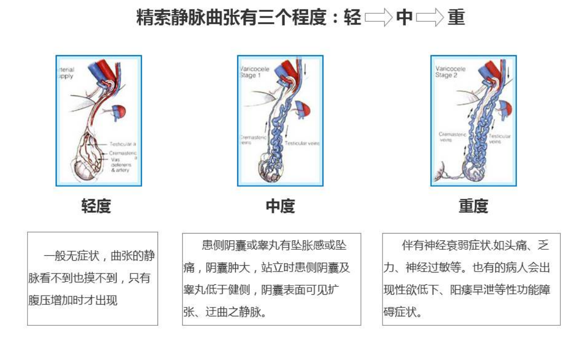 1608081427300955.png image.png