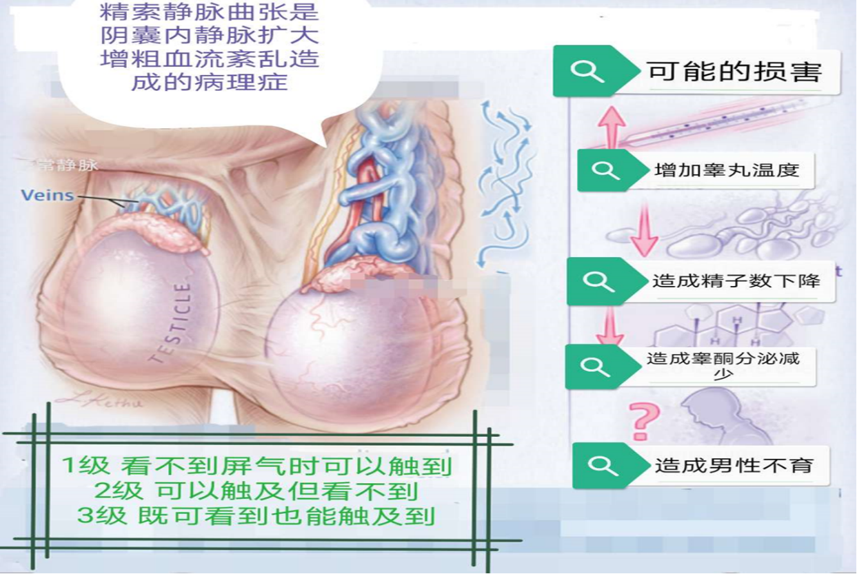 1608081528557204.png image.png