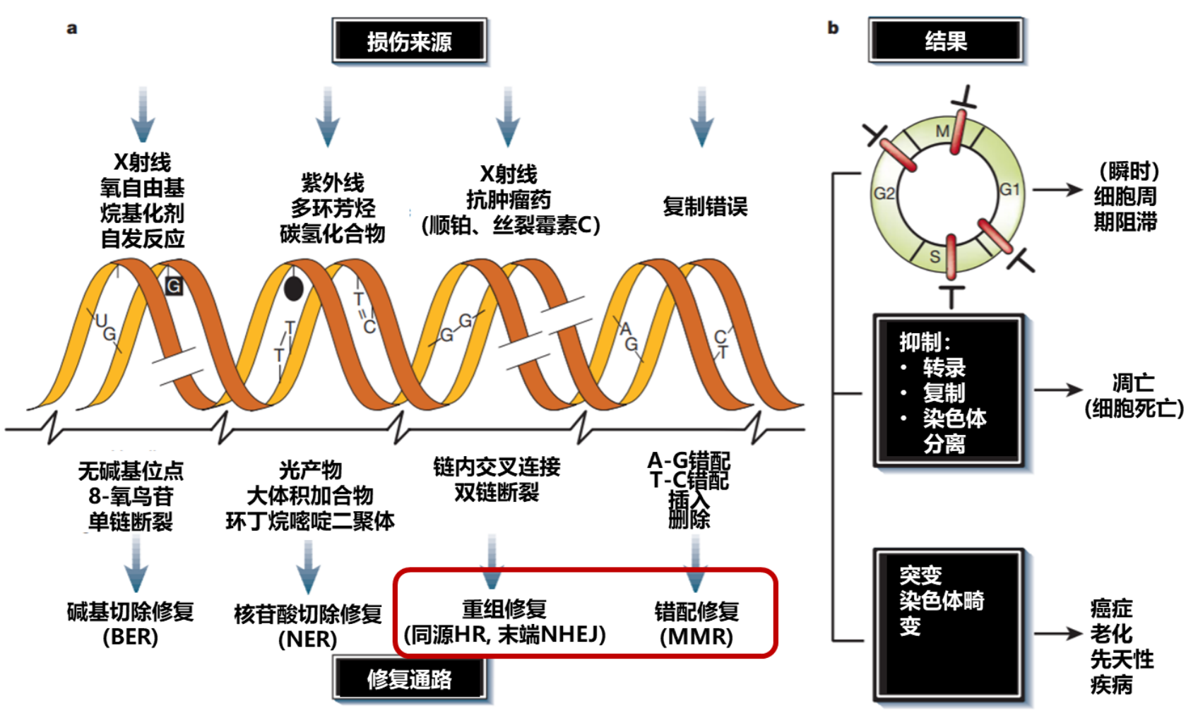 1608166185261304.png image.png