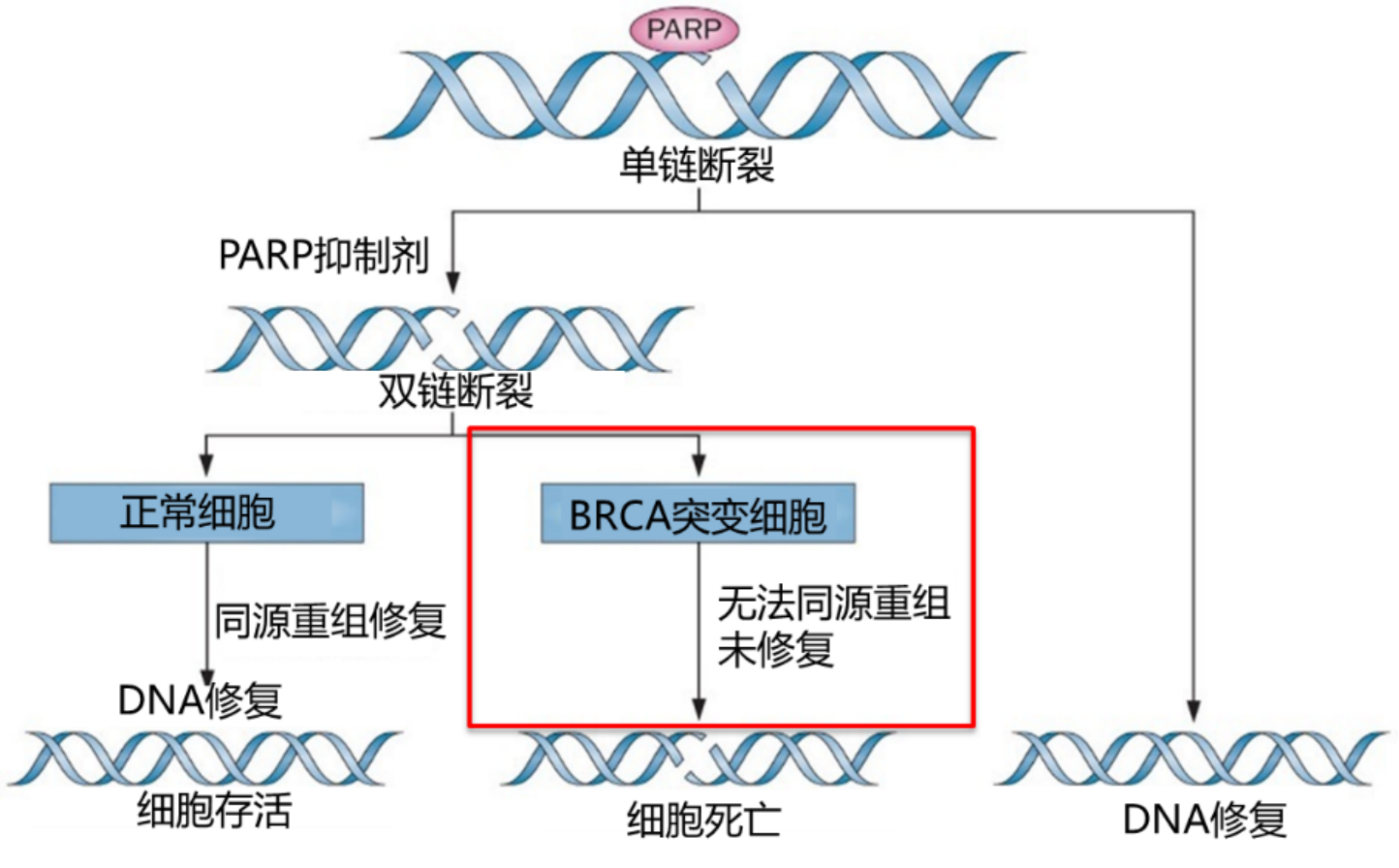 1608166193425344.png image.png