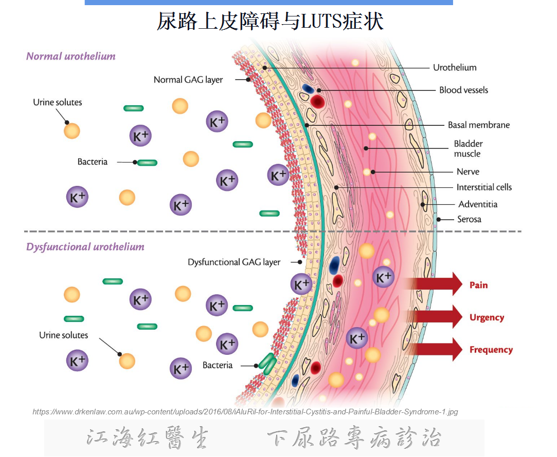 1614647164511876.png 微信图片_20210302085858.png