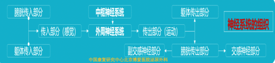 1615207769719088.png 2.png