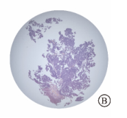 1615208228120784.png 5.png