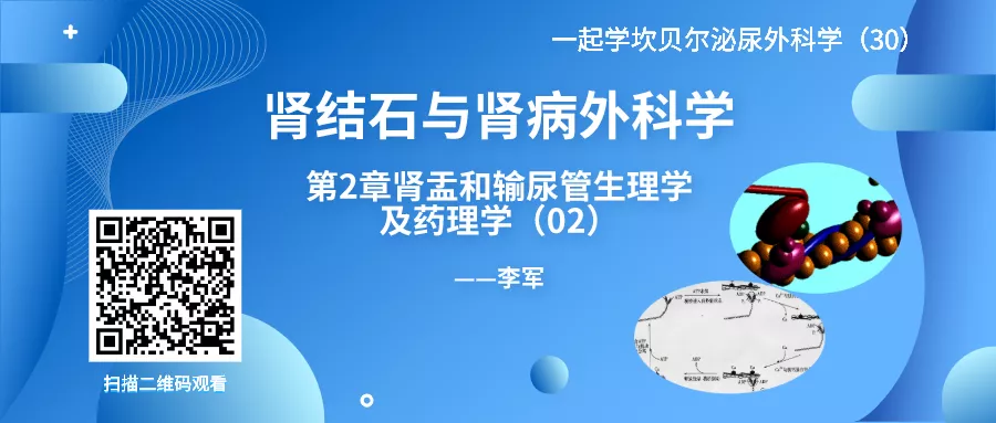 1616486255998963.png 640 (2).png