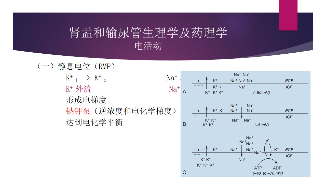 幻灯片3.jpg