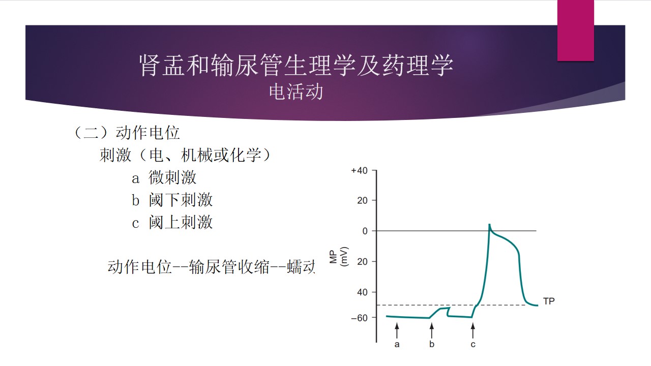 幻灯片4.jpg