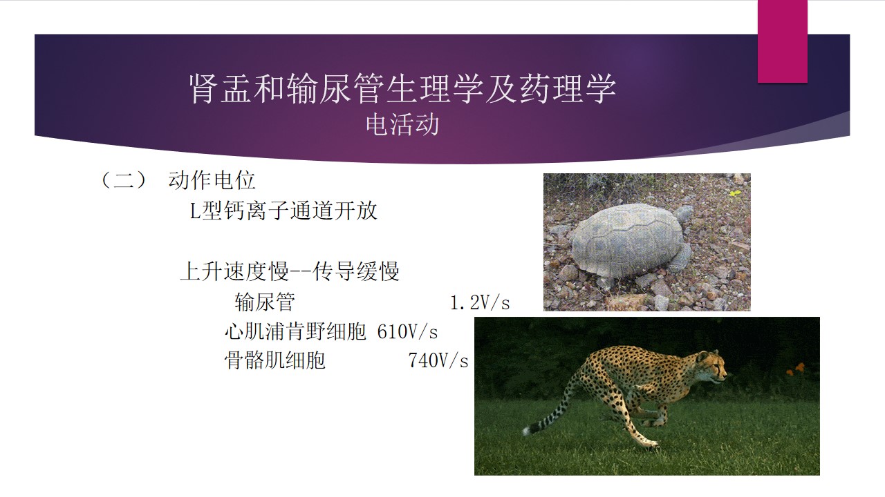 幻灯片5.jpg