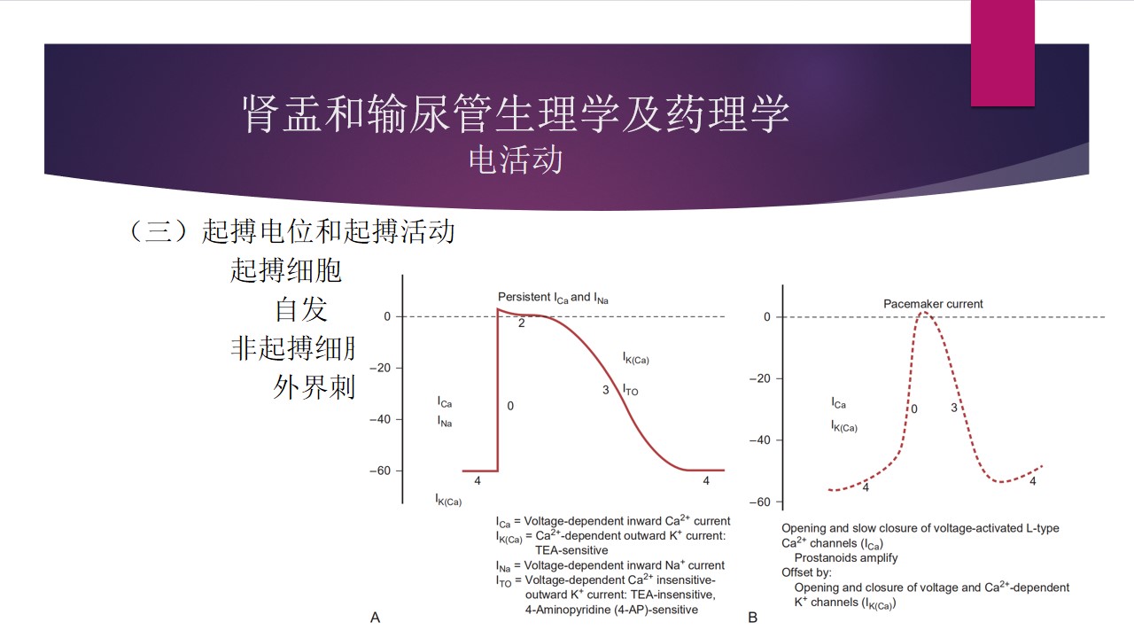 幻灯片6.jpg