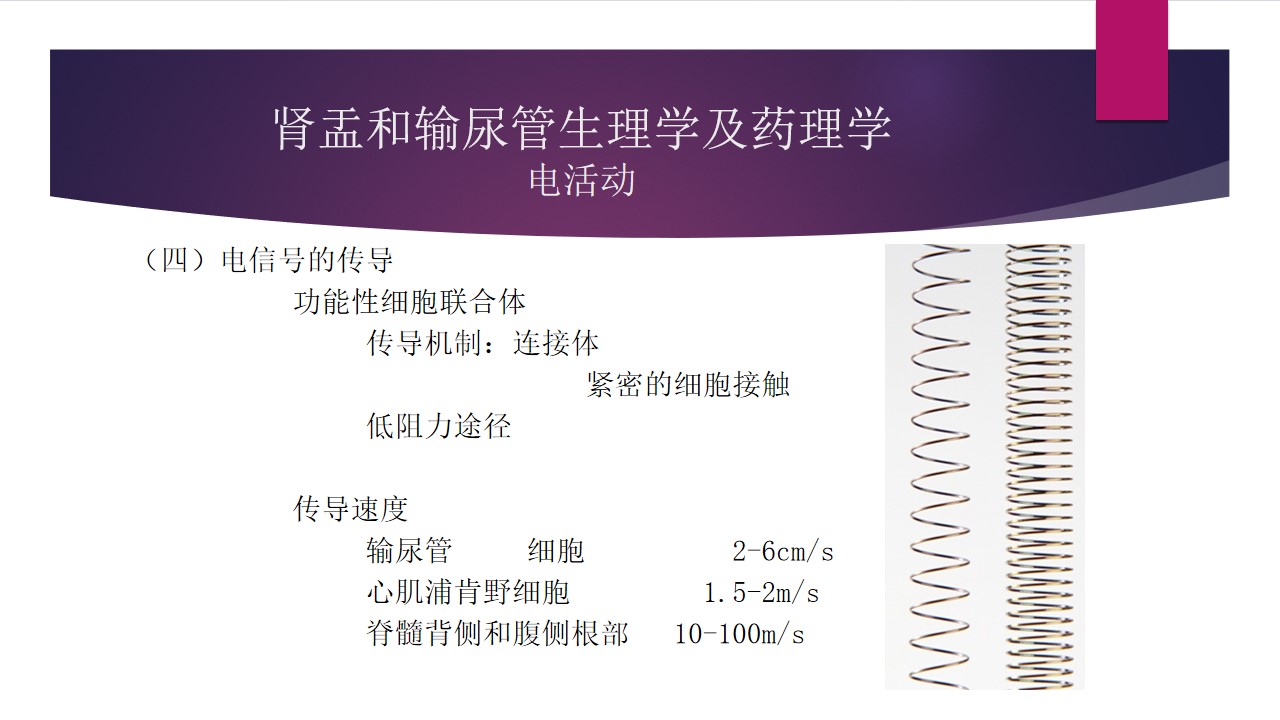 幻灯片8.jpg