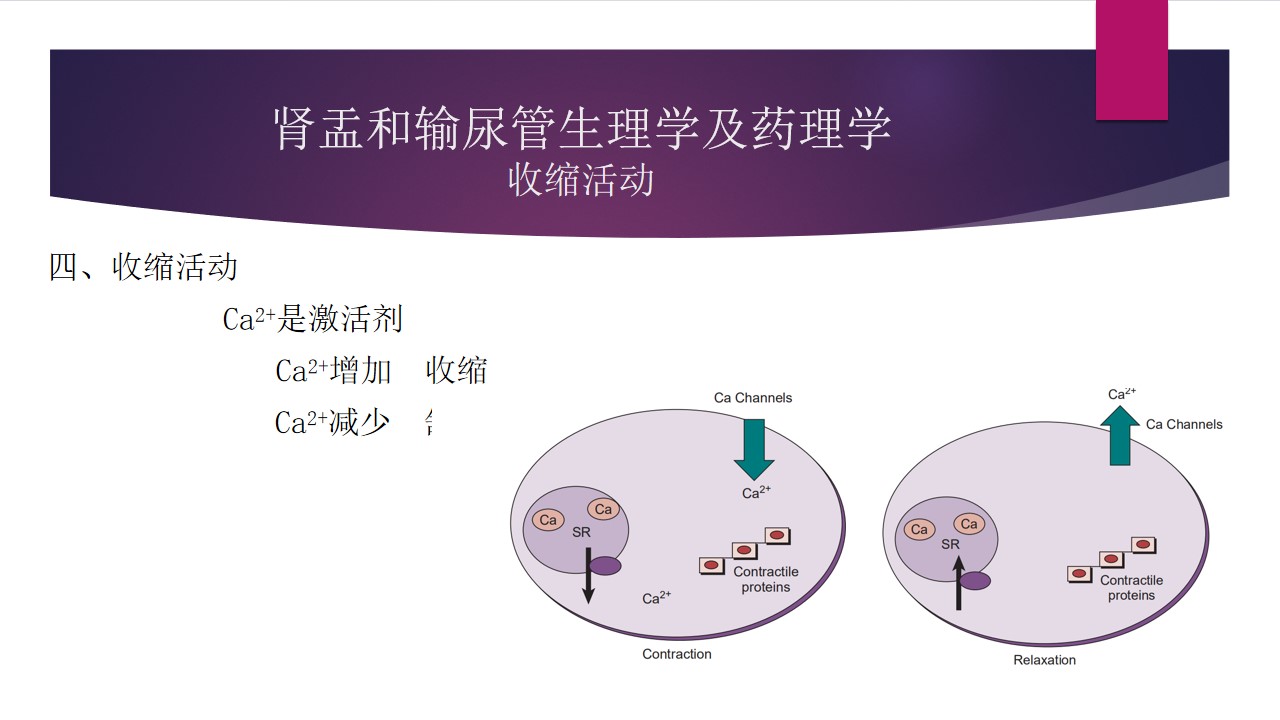 幻灯片9.jpg