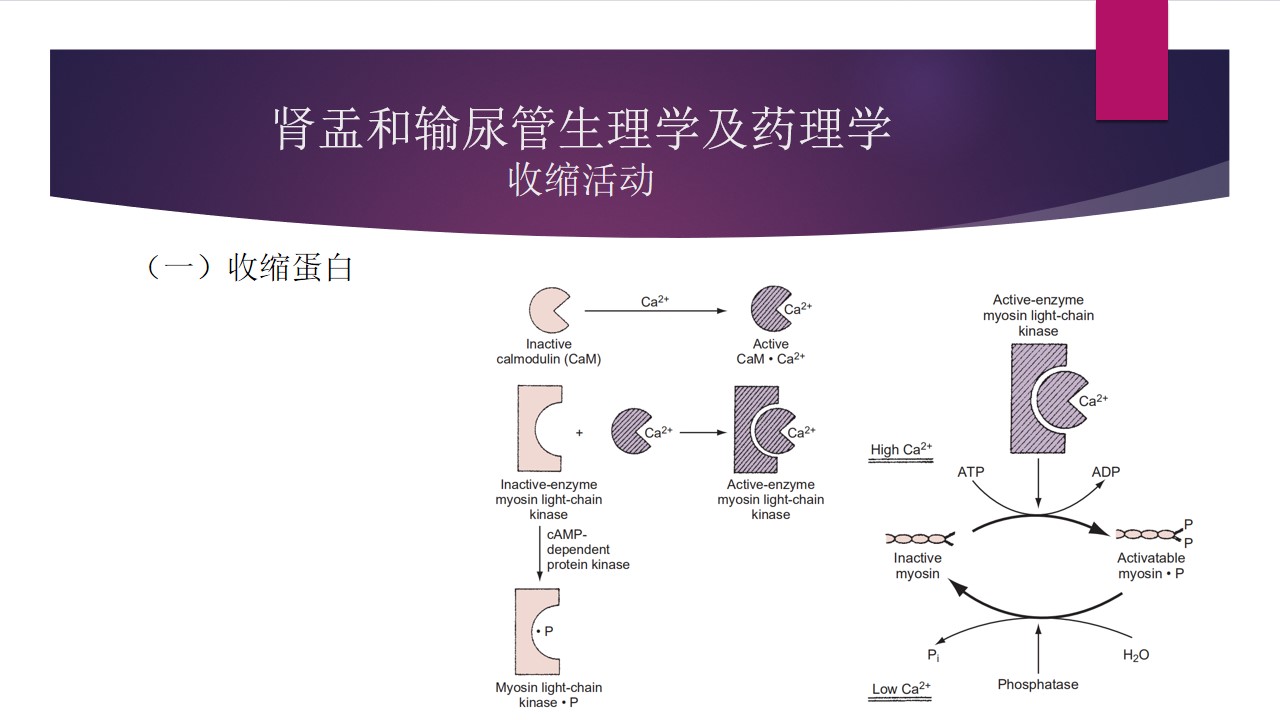 幻灯片10.jpg