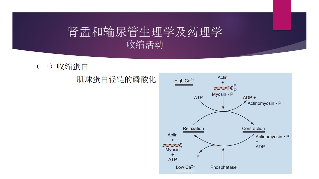幻灯片11.jpg
