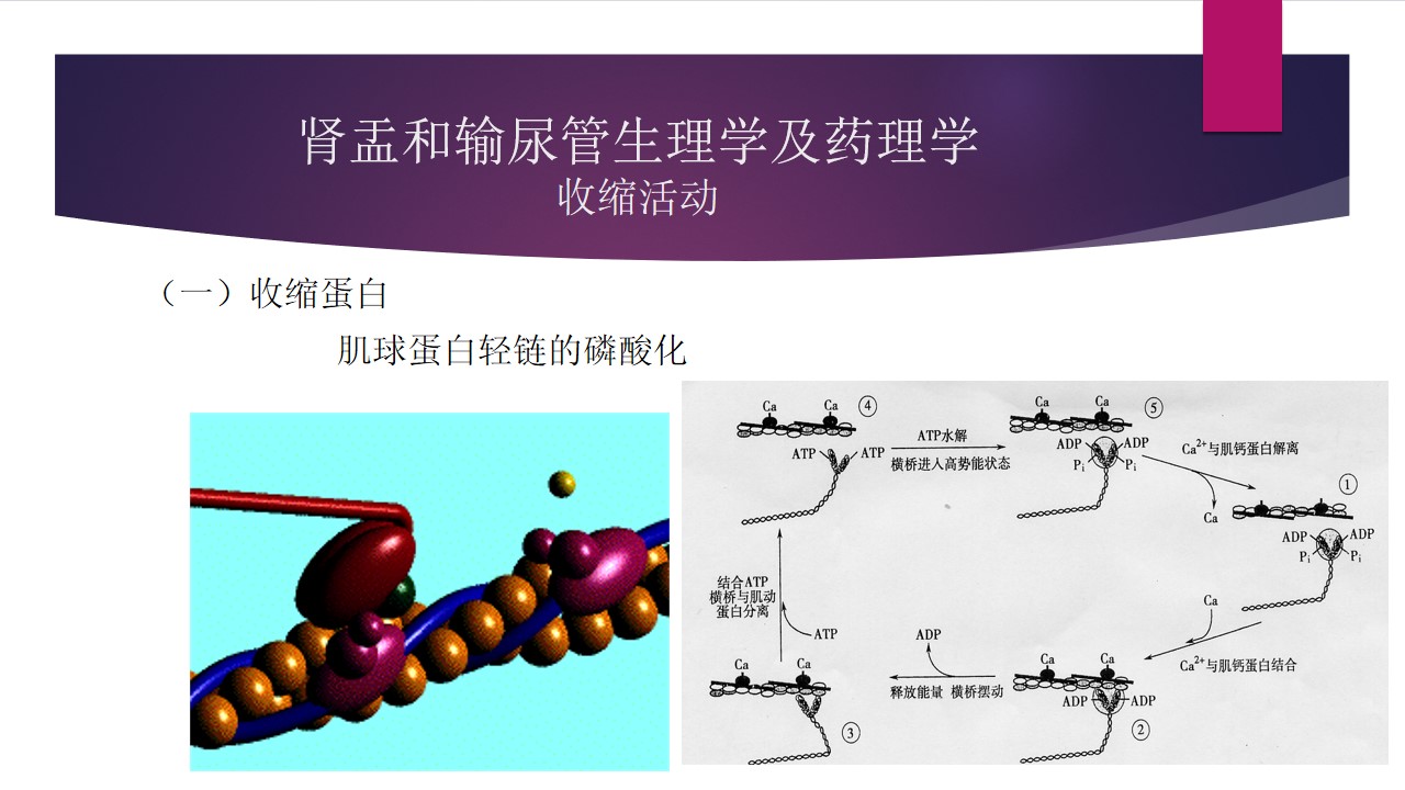 幻灯片12.jpg