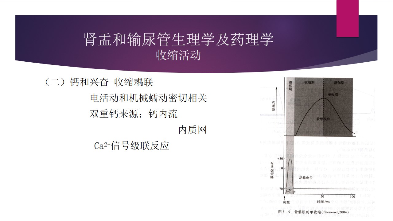 幻灯片13.jpg