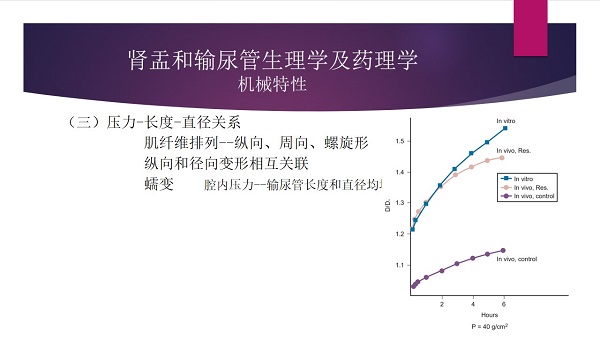 幻灯片19.jpg