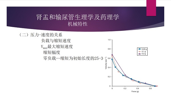 幻灯片18.jpg