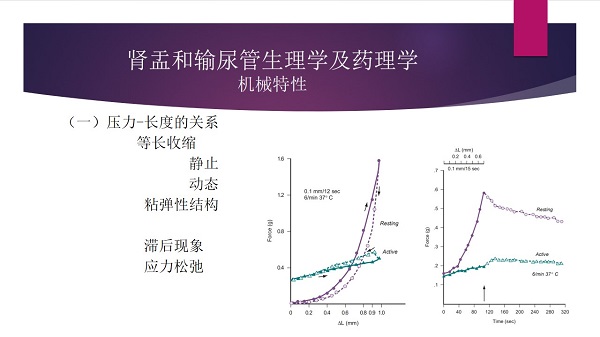 幻灯片17.jpg