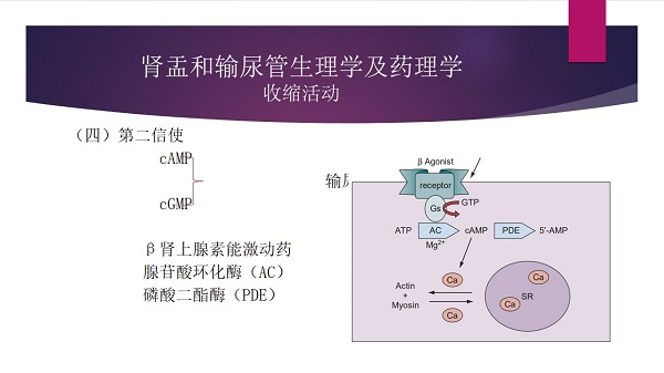 幻灯片15.jpg