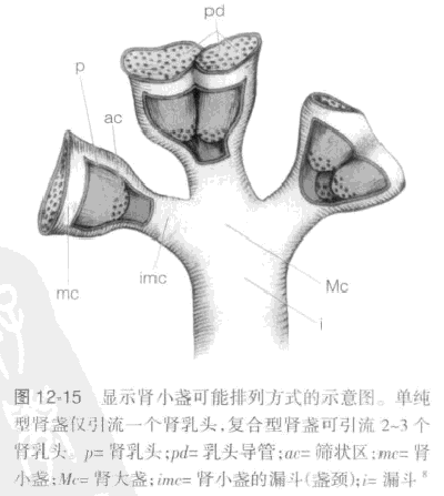 1618189636453126.png 22.png