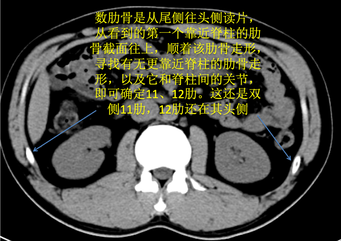 1618794821766206.png 5.png