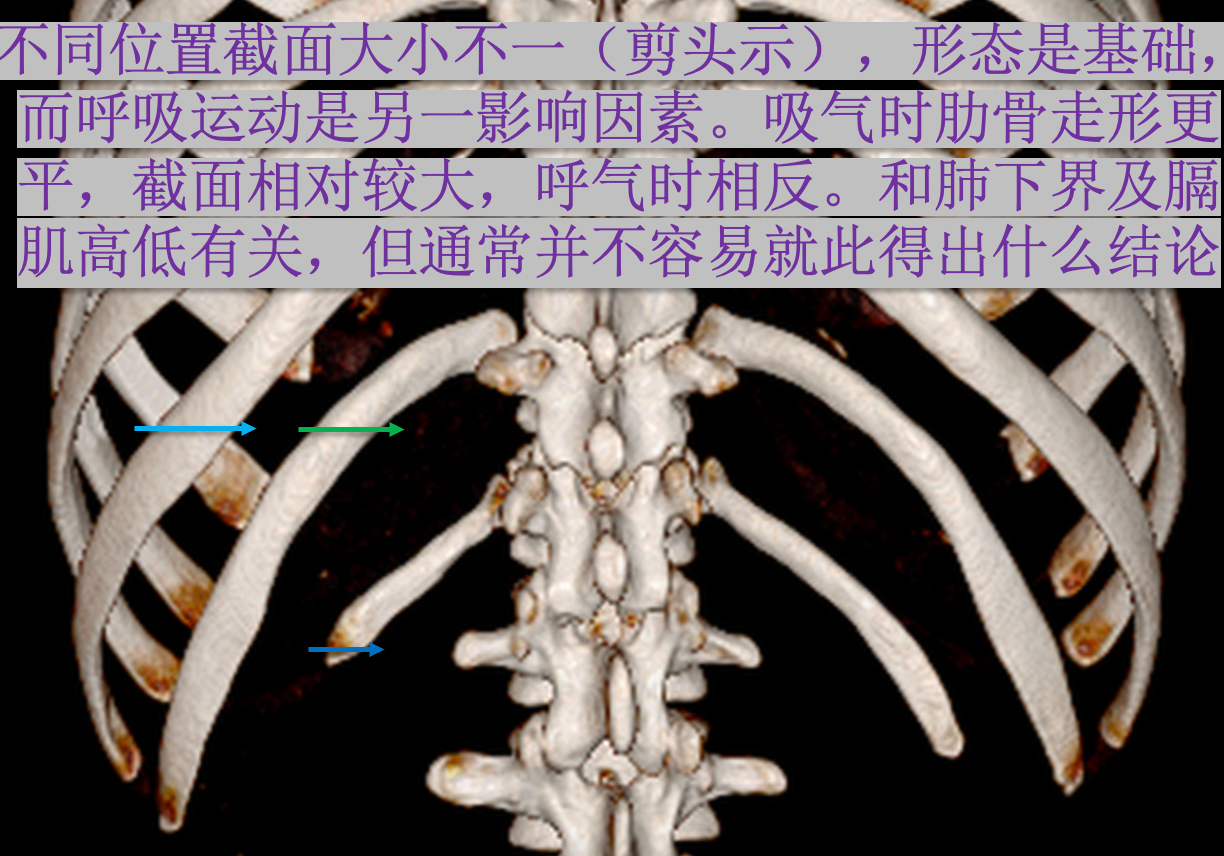 1618794945524223.png 10.png