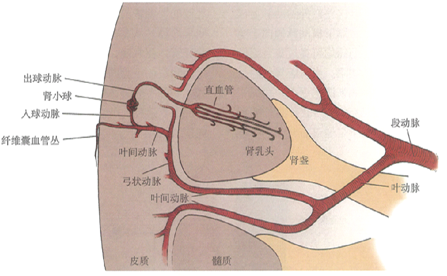 1618796531150726.png 3.png