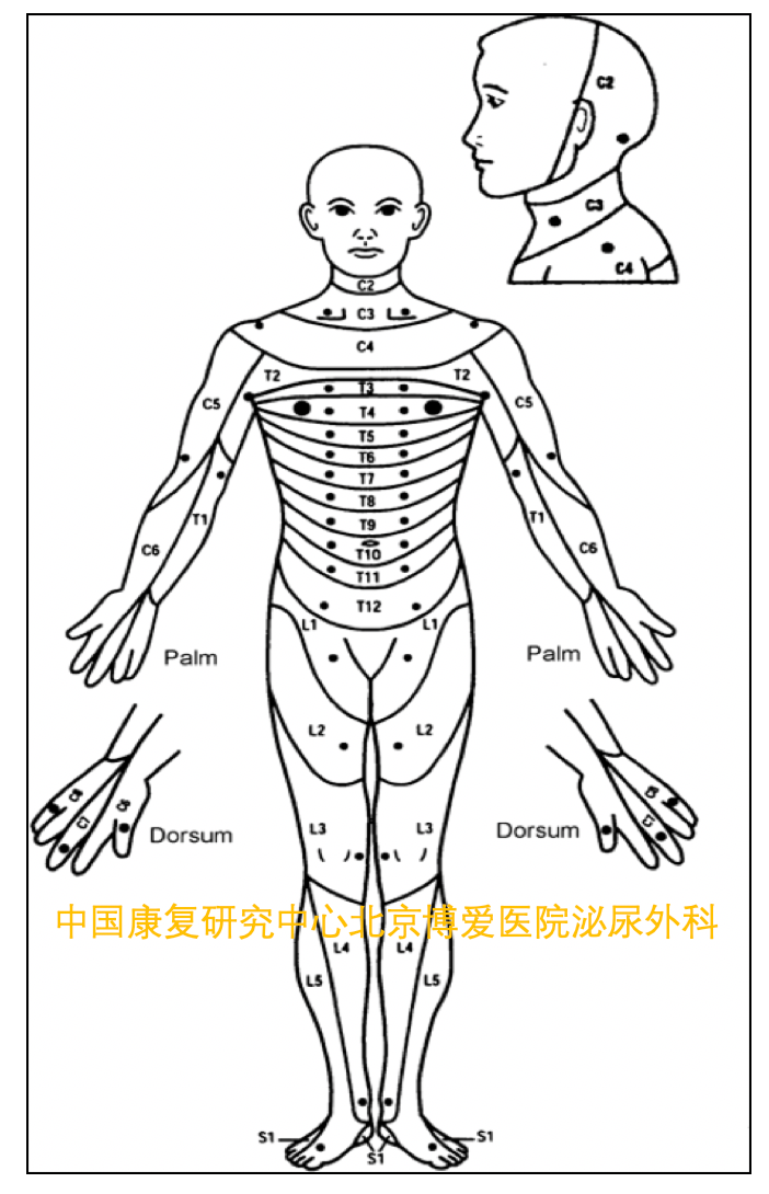 1618969520859410.png 3.png
