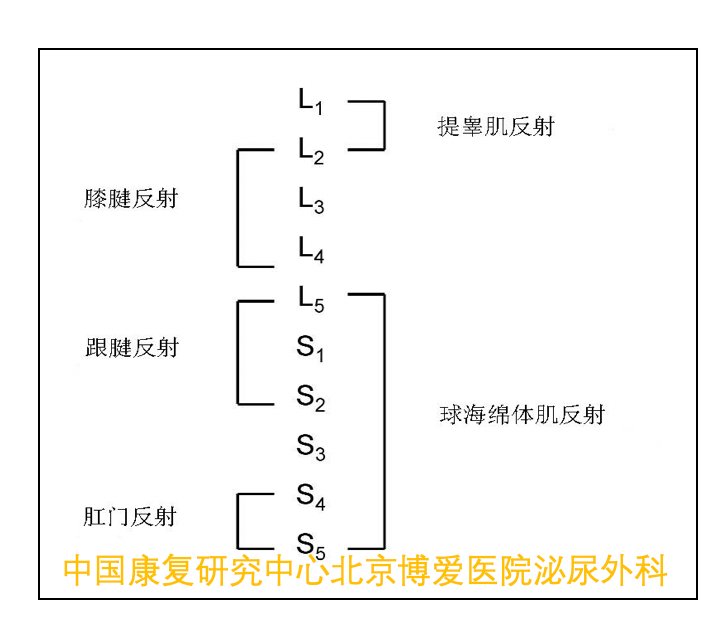 1618969537787833.png 5.png