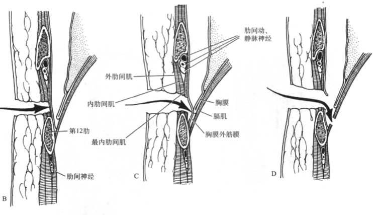 1619744735786632.png 4.png
