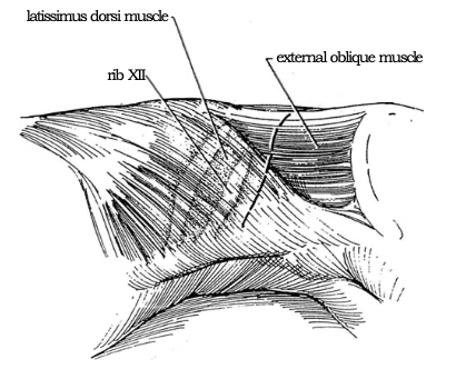 1619744811322161.png 15.png