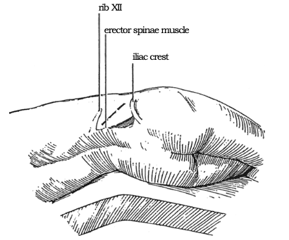 1619744817576039.png 16.png