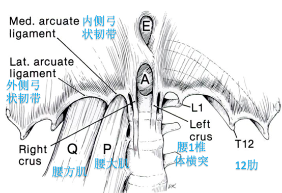1622769868367544.png 15.png