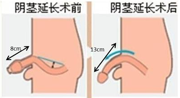 1624585872140018.png 3.png