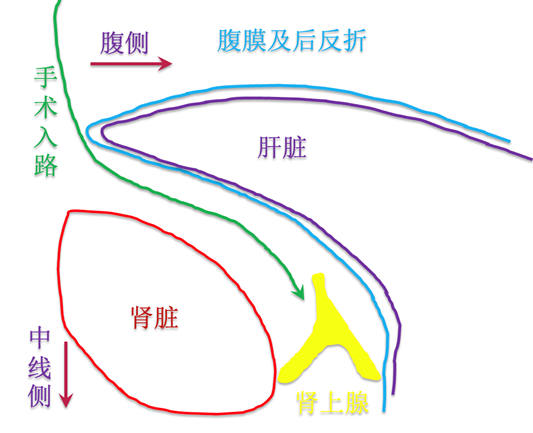 1625187055645871.png 12.png