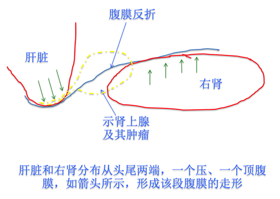 1625187064897014.png 13.png