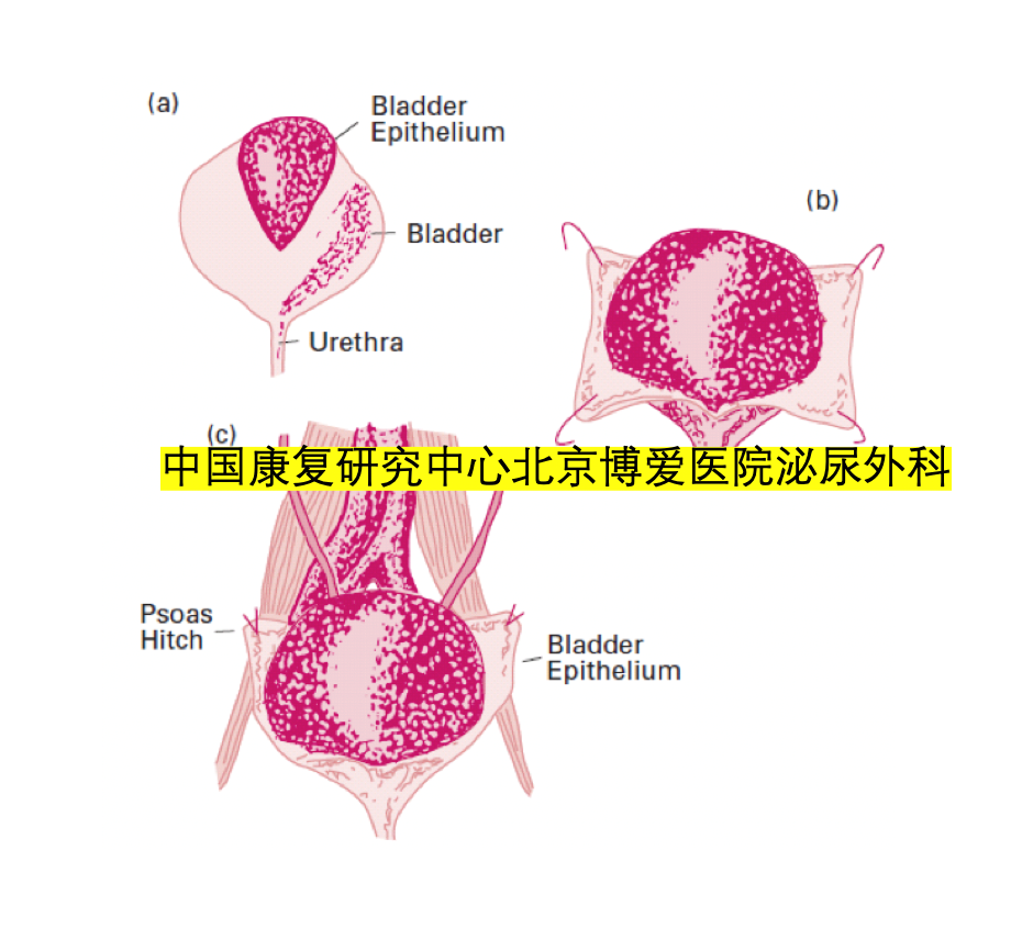 1628049182255645.png 5.png