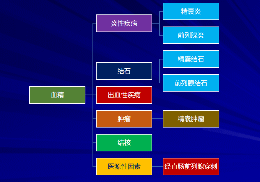 1628816000587419.png 6.png