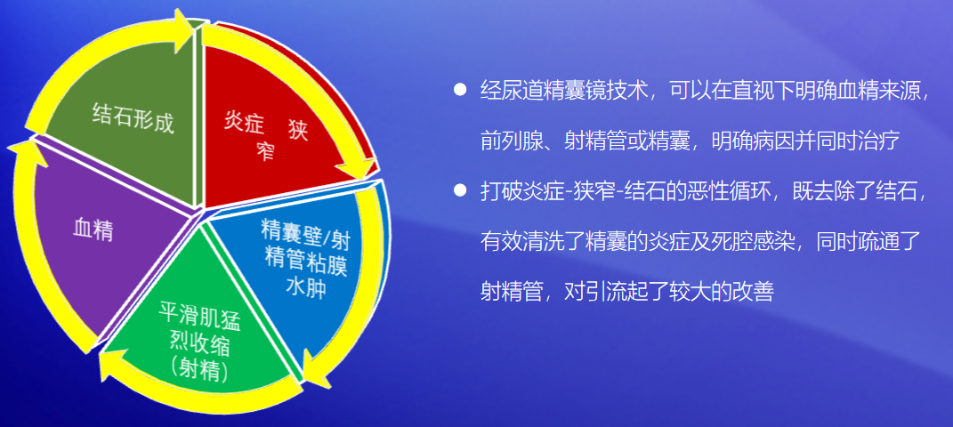 1628816068809152.png 16.png