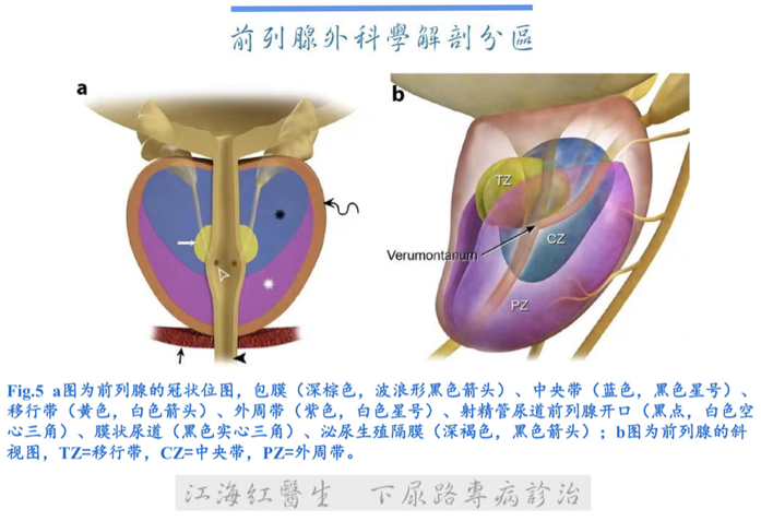 1630286452290403.png 7.png
