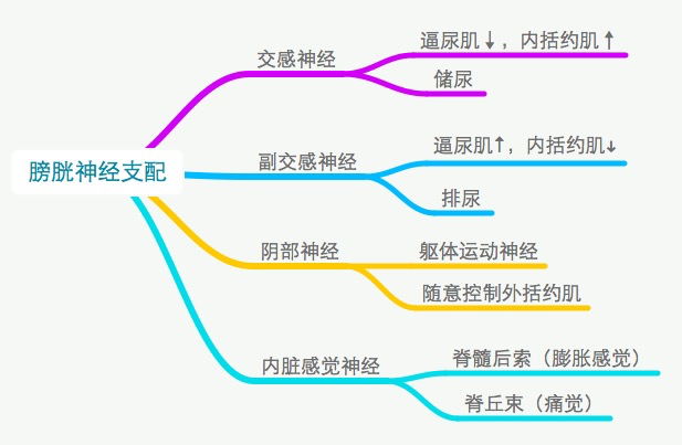 1630630949677286.png 4.png