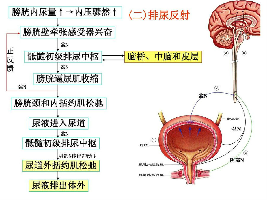 1630630956854231.png 5.png