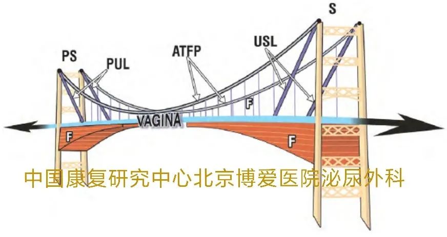 1634096868965180.jpg 4.jpg